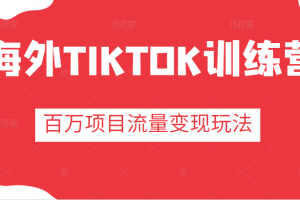 海外TIKTOK训练营，百万项目海外版抖音tiktok流量变现玩法