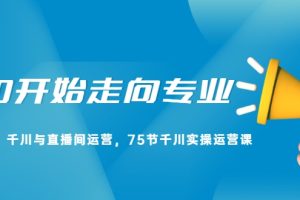 从0开始走向专业，千川与直播间运营，75节千川实操运营课（无水印）