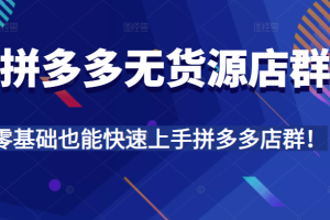 拼多多无货源店群，全程精细化讲解，实操教学，零基础也能快速上手拼多多店群！