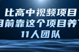 中视频项目，目前靠这个项目养了11人团队【视频课程】