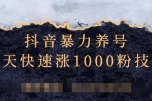 抖音暴力养号，三天快速涨1000粉技术【视频课程】