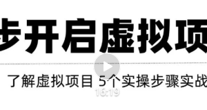 只需这5步，即可0成本轻松打造月入上万虚拟店铺！【视频教程】