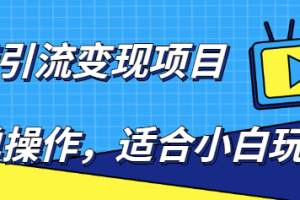 百度引流变现项目，简单操作，适合小白玩，项目长期可以操作【无水印】