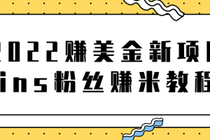 2022赚美金新项目，Instagram粉丝赚米项目【视频教程】