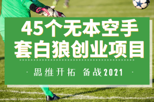 45个无本空手套白狼的创业项目，每一个都能实现月入10000+【思路扩展】