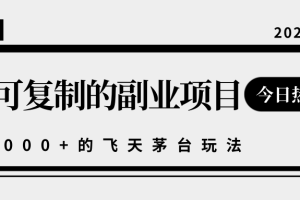 揭秘人人可复制的副业项目，能够实现日入10000+的撸飞天茅台玩法【视频教程】