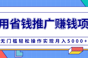 柚子团队内部课程：自用省钱推广赚钱项目，无门槛操作实现月入5000+