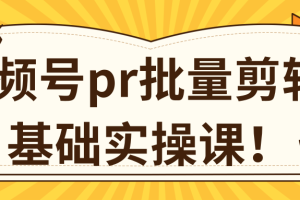 视频号pr批量剪辑0基础实操课，pr批量处理伪原创一分钟一个视频【共2节】