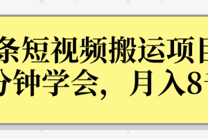 操作性非常强的头条号短视频搬运项目，3分钟学会，轻松月入8000+【视频课程】