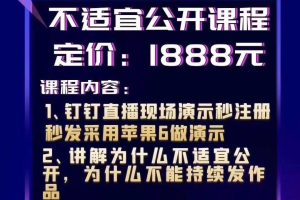 价值1888元梁先生7.19晚上：秒注册秒发，不适宜公开，不用实卡做演示个人对风控理解