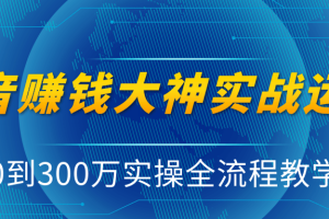 抖音赚钱大神实战运营教程，0到300万实操全流程教学，抖音独家变现模式