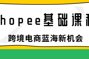 shopee大卖特训营，跨境电商蓝海新机会-shopee基础课程，手把手带你新店全流程实操