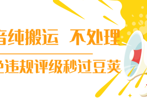 【新技术】抖音纯搬运 不处理 小技巧，30秒发一个作品，避免违规评级秒过豆荚