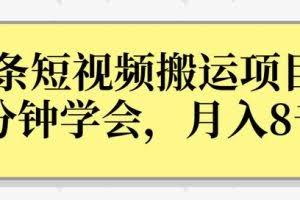 操作性非常强的头条号短视频搬运项目，3分钟学会，轻松月入8000+