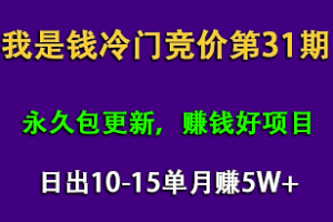 我是钱第31期网授课程网授课百度冷门竞价，日出10-15单，月赚5w+（完结）