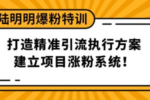 陆明明爆粉特训3月28号：打造精准引流执行方案，建立项目涨粉系统！