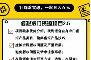 虚拟冷门资源项目2.5（冷门&代理玩法），精准引流实操日赚1000+（价值699元）