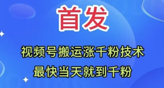 全网首发：视频号无脑搬运涨千粉技术，最快当天到千粉【揭秘】插图