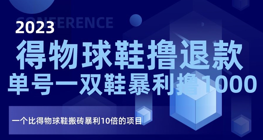 2023得物球鞋撸退款，单号一双鞋暴利撸1000，一个比得物球鞋搬砖暴利10倍的项目【揭秘】插图