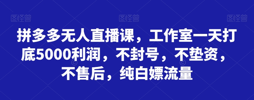 拼多多无人直播课，工作室一天打底5000利润，不封号，不垫资，不售后，纯白嫖流量-吾爱自习网