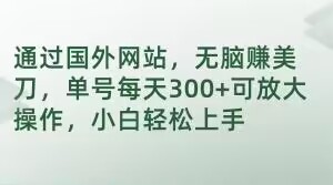 通过国外网站，无脑赚美刀，单号每天300+可放大操作，小白轻松上手【揭秘】插图