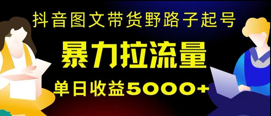 抖音图文带货暴力起号，单日收益5000+，野路子玩法，简单易上手，一部手机即可【揭秘】插图