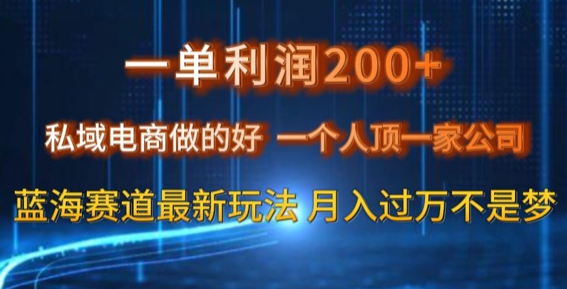 一单利润200私域电商做的好，一个人顶一家公司蓝海赛道最新玩法【揭秘】-吾爱自习网