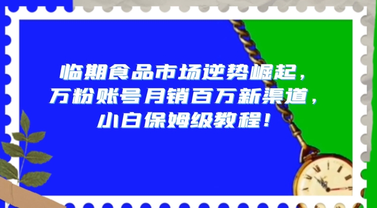 临期食品市场逆势崛起，万粉账号月销百万新渠道，小白保姆级教程【揭秘】插图