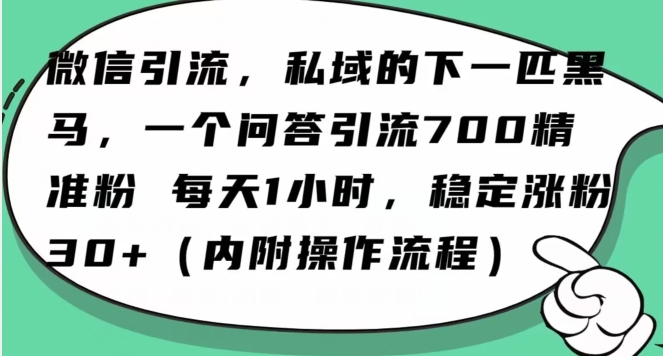 怎么搞精准创业粉？微信新赛道，每天一小时，利用Ai一个问答日引100精准粉-吾爱自习网