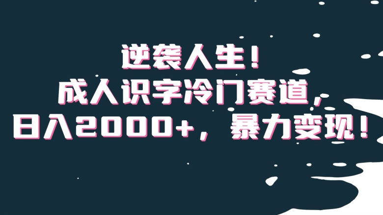 逆袭人生！成人识字冷门赛道，日入2000+，暴力变现！【揭秘】-吾爱自习网