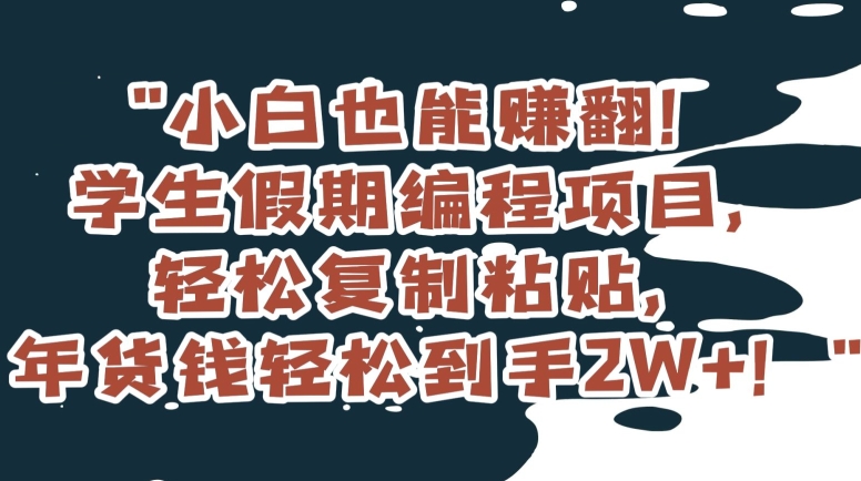 小白也能赚翻！学生假期编程项目，轻松复制粘贴，年货钱轻松到手2W+【揭秘】-吾爱自习网