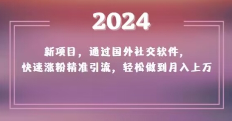 2024新项目，通过国外社交软件，快速涨粉精准引流，轻松做到月入上万【揭秘】插图