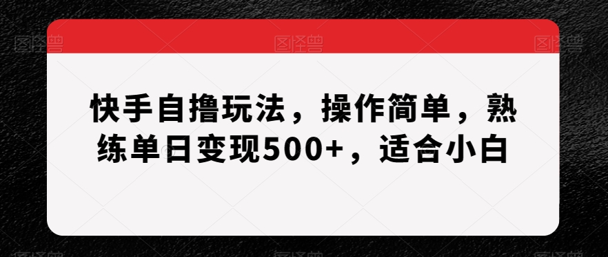 快手自撸玩法，操作简单，熟练单日变现500+，适合小白【揭秘】插图