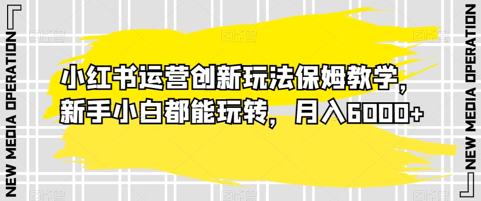 小红书运营创新玩法保姆教学，新手小白都能玩转，月入6000+【揭秘】插图