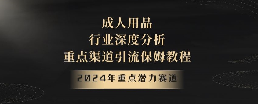 2024年重点潜力赛道，成人用品行业深度分析，重点渠道引流保姆教程【揭秘】插图