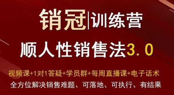 爆款！销冠训练营3.0之顺人性销售法，全方位解决销售难题、可落地、可执行、有结果插图