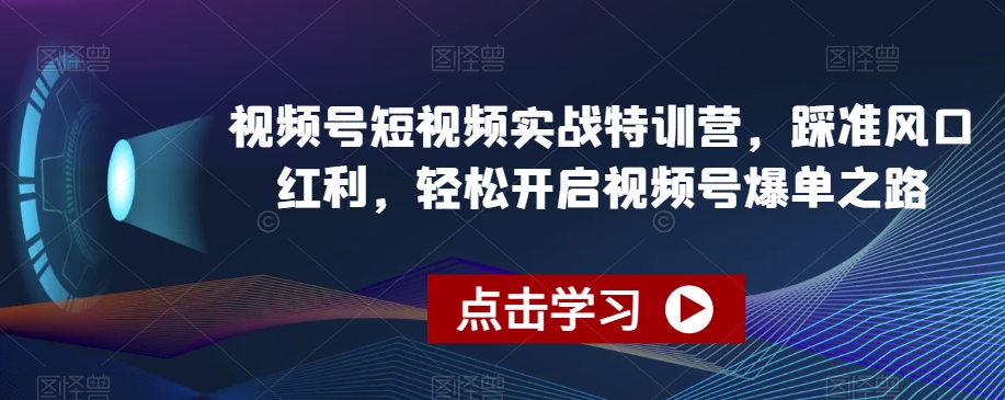 视频号短视频实战特训营，踩准风口红利，轻松开启视频号爆单之路插图