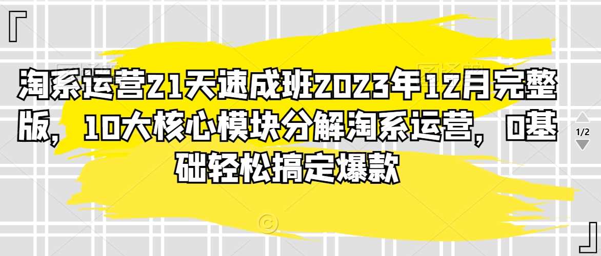 淘系运营21天速成班2023年12月完整版，10大核心模块分解淘系运营，0基础轻松搞定爆款-吾爱自习网