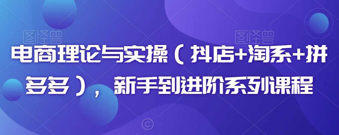 电商理论与实操（抖店+淘系+拼多多），新手到进阶系列课程-吾爱自习网