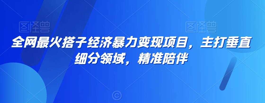 全网最火搭子经济暴力变现项目，主打垂直细分领域，精准陪伴【揭秘】插图