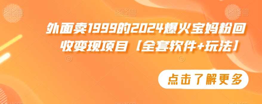 外面卖1999的2024爆火宝妈粉回收变现项目【全套软件+玩法】【揭秘】-吾爱自习网