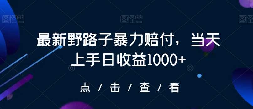 最新野路子暴力赔付，当天上手日收益1000+【仅揭秘】-吾爱自习网