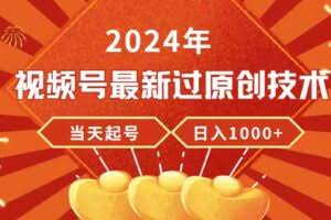 （9565期）2024年视频号最新过原创技术，当天起号，收入稳定，日入1000+