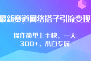 最新赛道网络搭子引流变现!!操作简单上手快，一天300+，小白专属