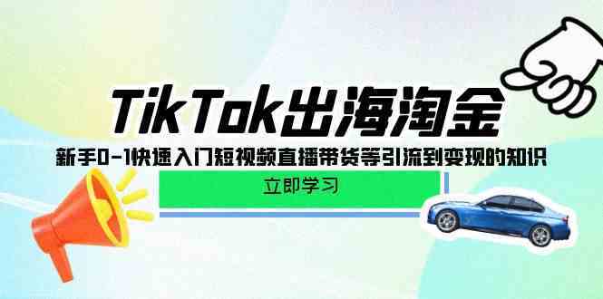 TikTok出海淘金，新手0-1快速入门短视频直播带货等引流到变现的知识插图