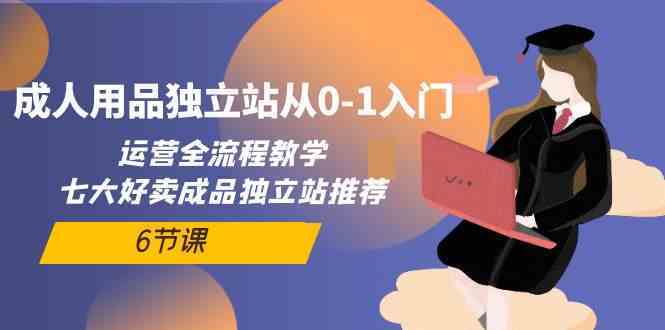 成人用品独立站从0-1入门，运营全流程教学，七大好卖成品独立站推荐（6节课）插图