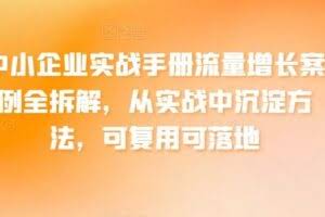 中小企业实战手册流量增长案例全拆解，从实战中沉淀方法，可复用可落地