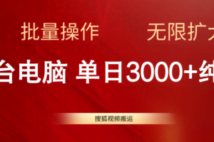 （11064期）搜狐视频搬运，一台电脑单日3000+，批量操作，可无限扩大