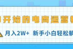 （11081期）从0开始的电商运营教学，月入2W+，新手小白轻松躺赚