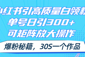 （11692期）小红书引高质量白领粉，单号日引300+，可放大操作，爆粉秘籍！30s一个作品